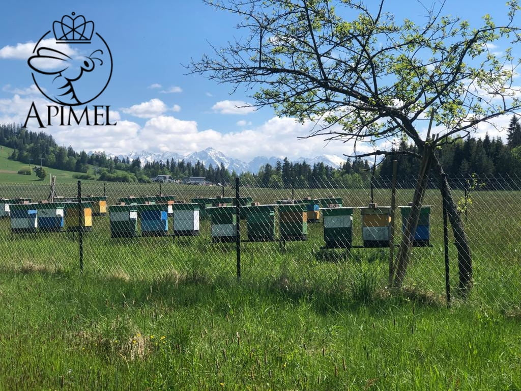 Pasieka Apimel