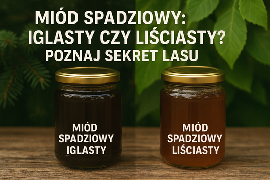 Miód Spadziowy: Iglasty czy Liściasty? Poznaj Sekret Lasu!